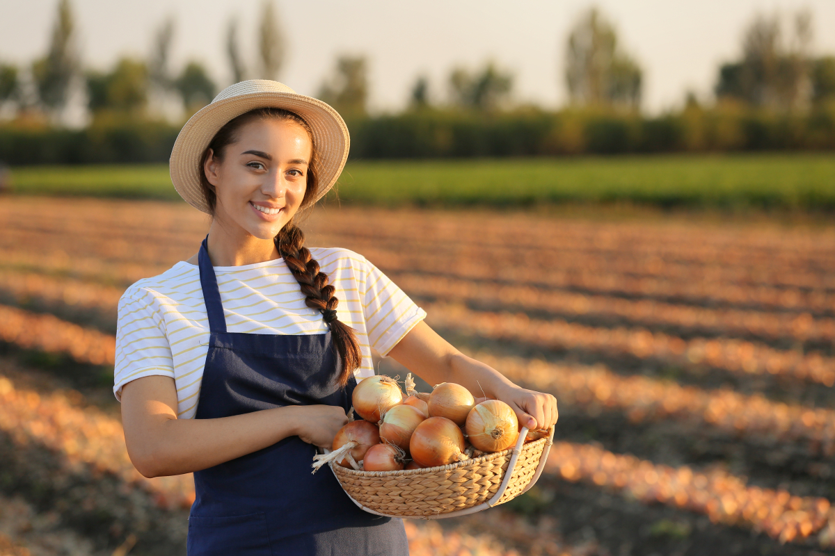 Female,Farmer,With,Harvest,Of,Onions,In,Field