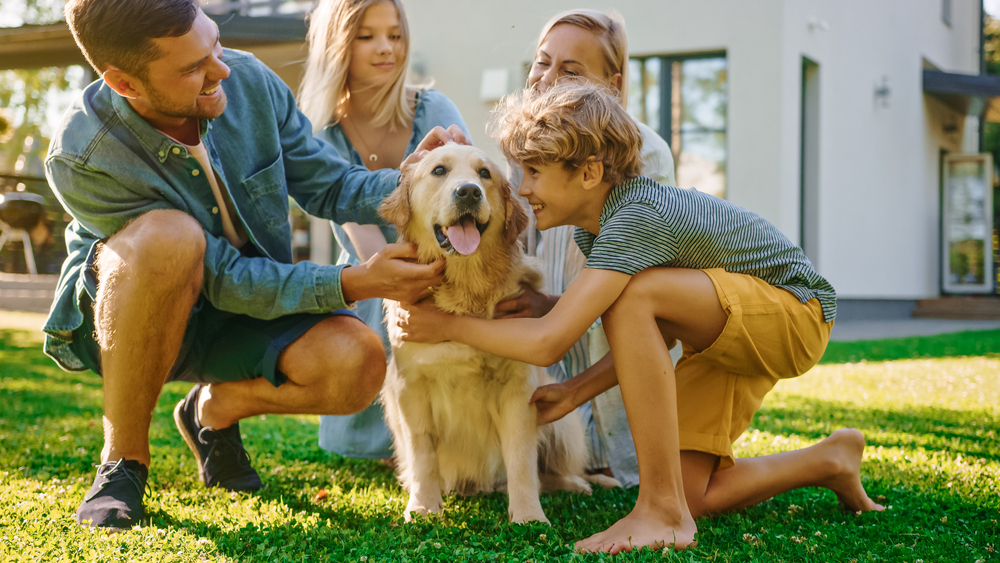 Smiling,Beautiful,Family,Of,Four,Posing,With,Happy,Golden,Retriever