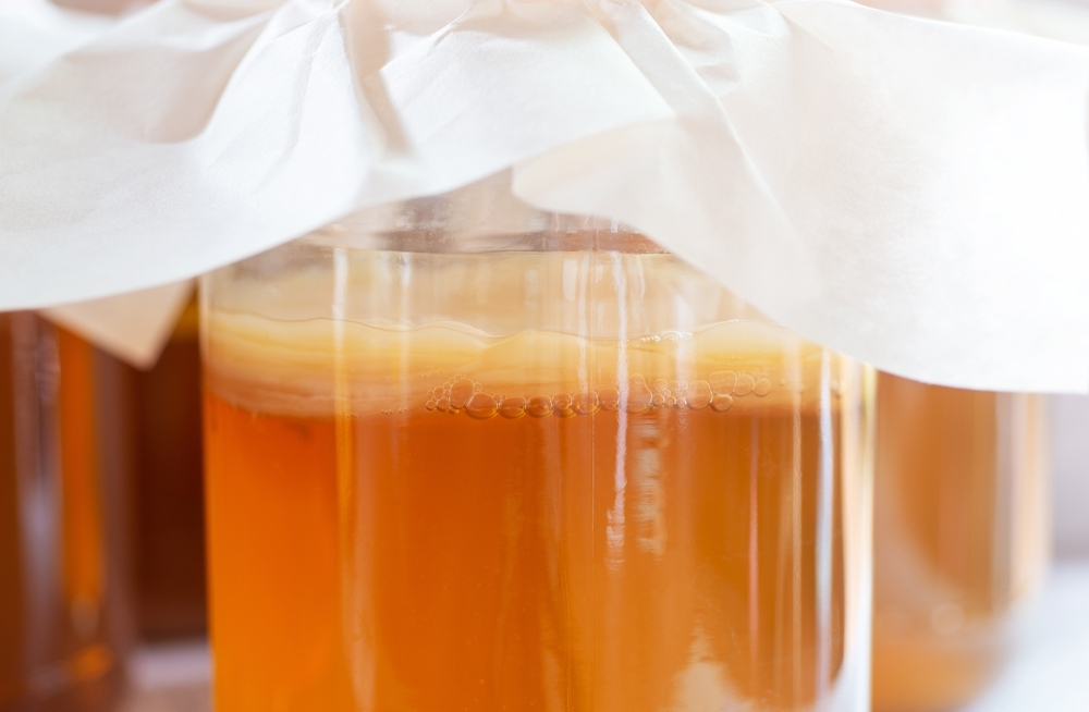 2 Zzran kombucha: houba v aji, nebo je to jinak?  1. dl