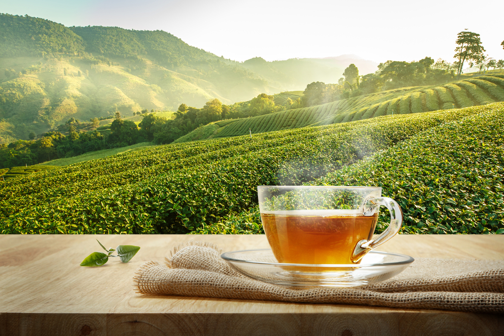 Warm,Cup,Of,Tea,And,Organic,Green,Tea,Leaf,On