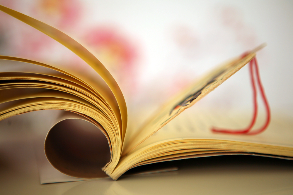 2 NSK LITERATURA 20. STOLET