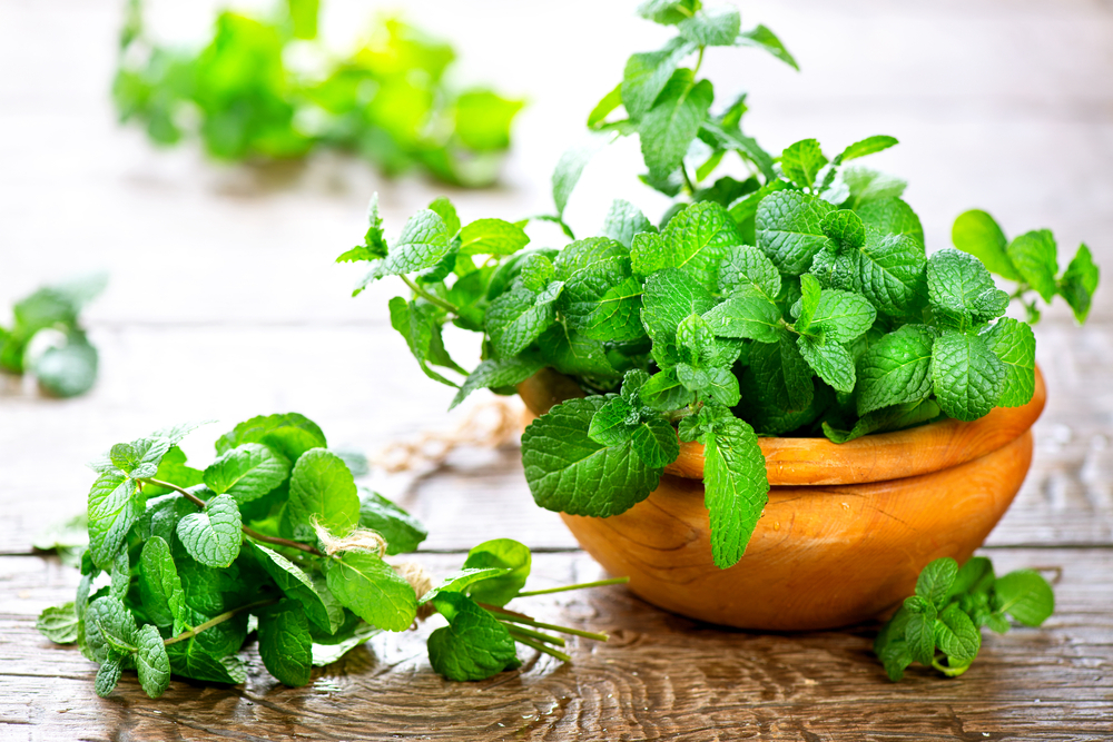 Mint.,Bunch,Of,Fresh,Green,Organic,Mint,Leaf,On,Wooden