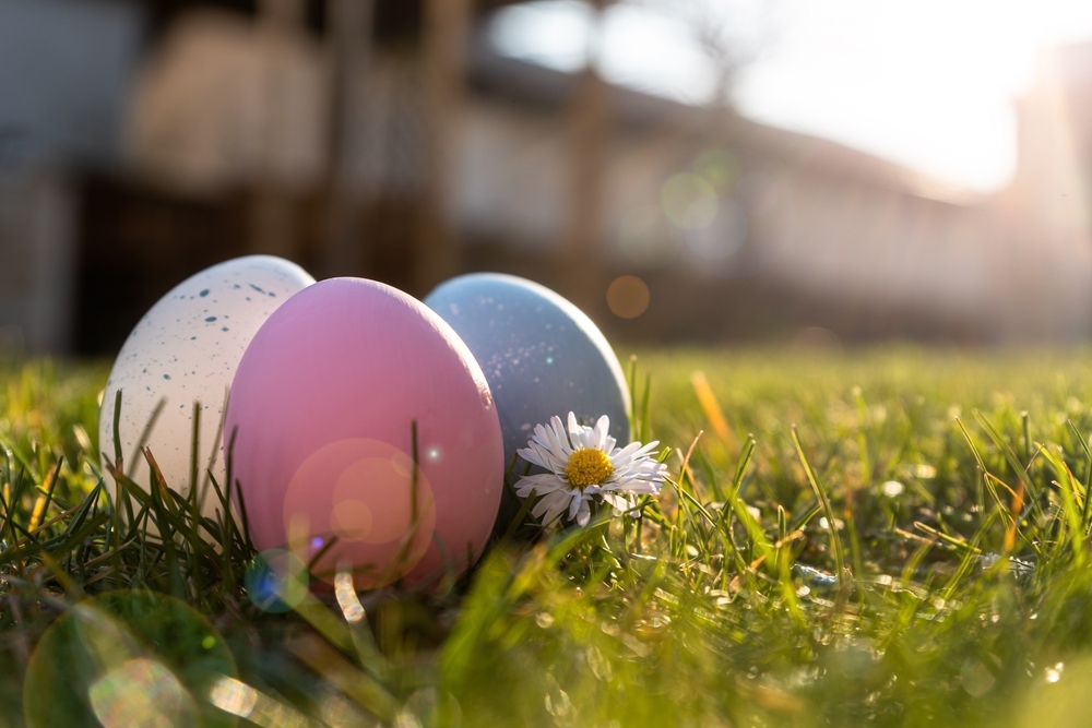 Happy,Easter.,Easter,Eggs,On,Grass,On,A,Sunny,Spring