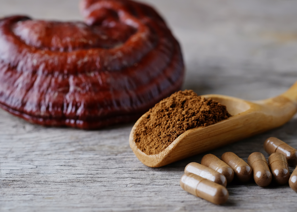 Reishi,Or,Lingzhi,Mushroom,On,Natural,Background.