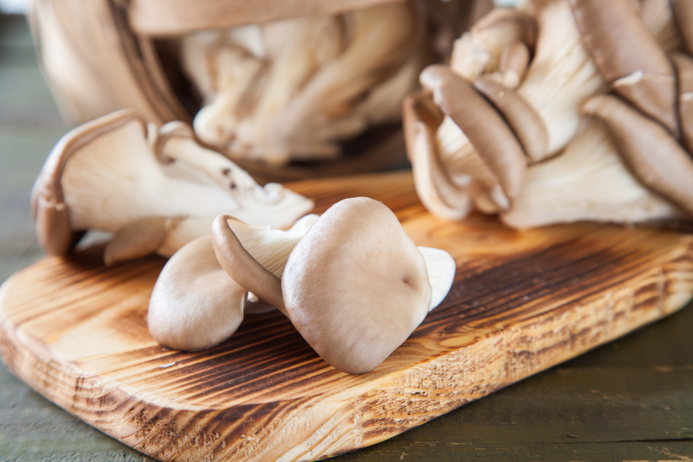 Oyster,Mushroom,Mushroom,On,A,Table,,Selective,Focus