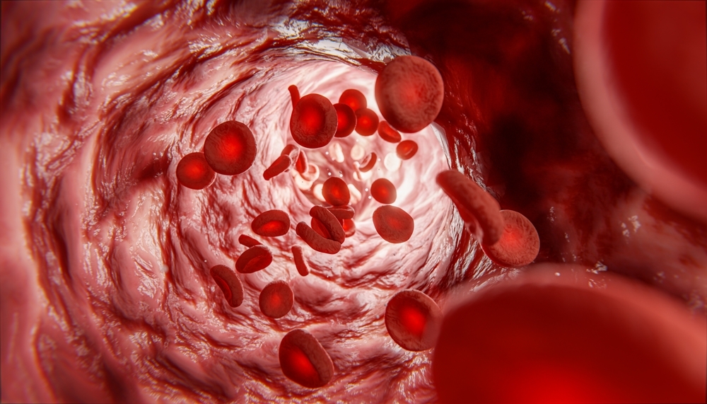 Blood,Cells,In,Vein.,Red,Blood,Cells,Circulating,In,Blood
