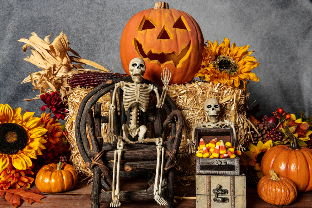 Halloween,With,Skeletons,Candy,Corn,Jack,O,Lantern,Fall,Pumpkins