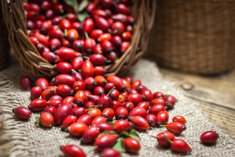 Fresh,Ripe,Rose,Hips,In,Basket,On,The,Rustic,Background,