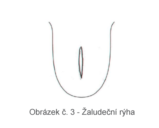obr. 3 aluden rha