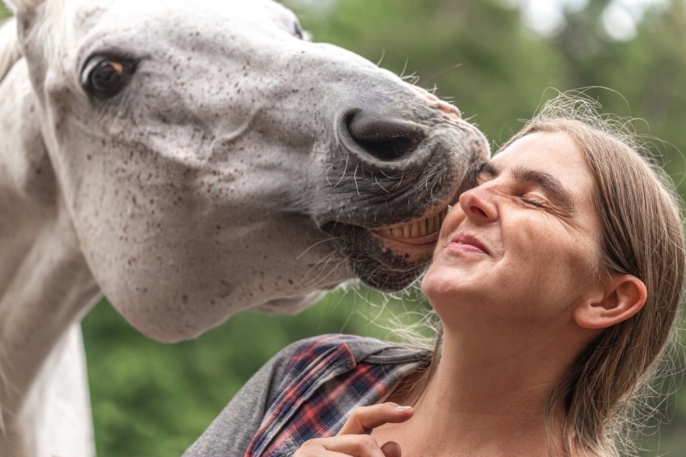 Funny,Equestrian,Team,Scene:,A,Horse,Showing,A,Kissing,Trick