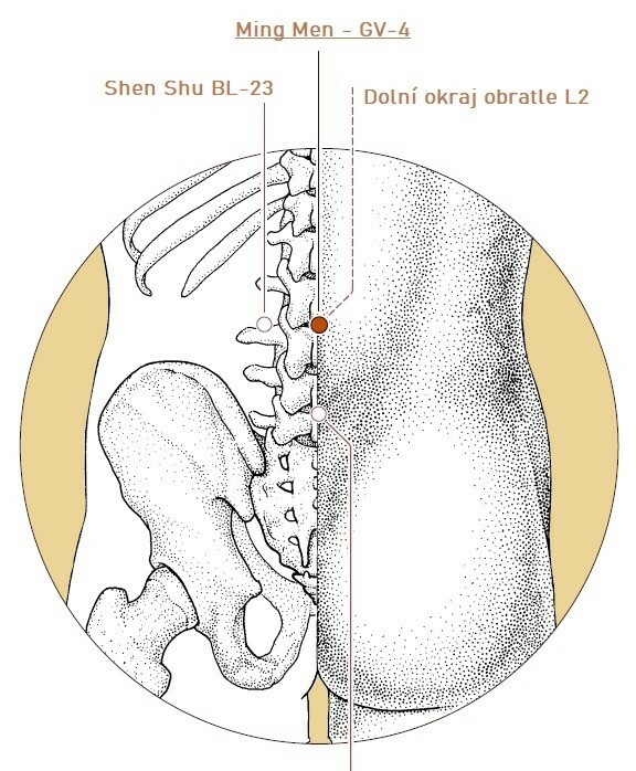 Obrzek1