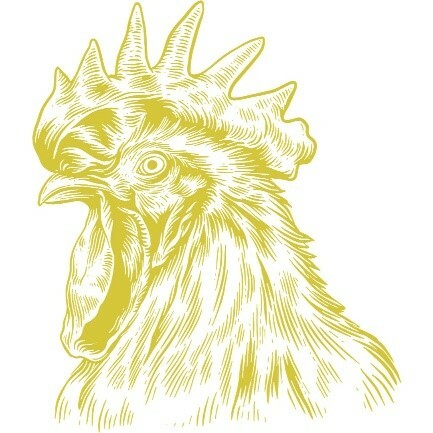 Obrázek13