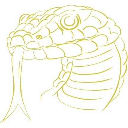 Obrázek9