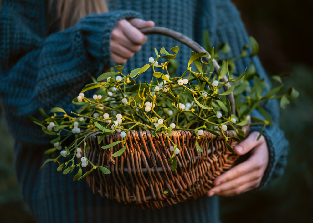 Young,Girl,Holding,A,Wicker,Basket,With,Mistletoe,Branches,With