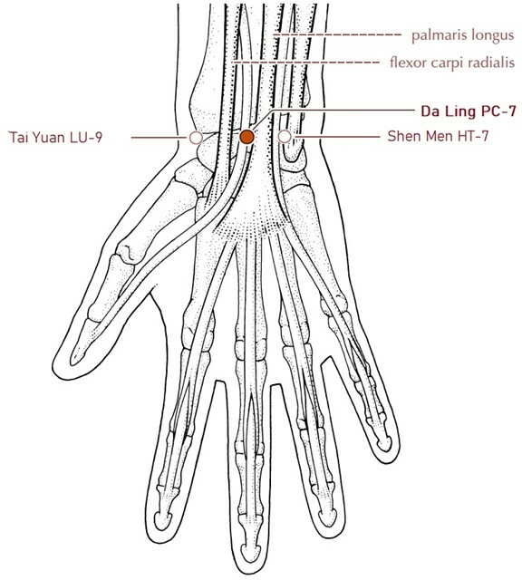 Obrzek1