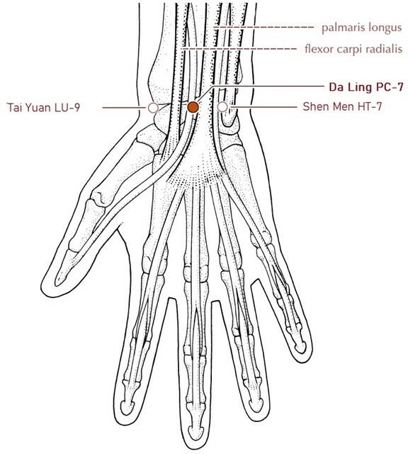 Obrzek1