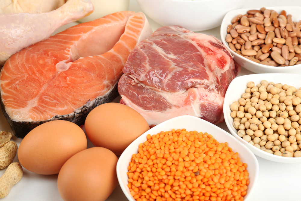 Food,High,In,Protein,Close-up