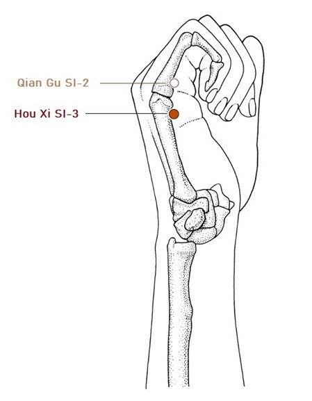 akupunkturni-bod-Hou-Xi
