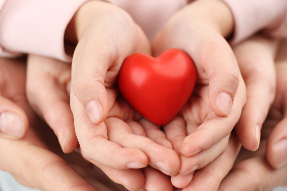 Parents,And,Kid,Holding,Red,Heart,In,Hands,,Closeup.,Family
