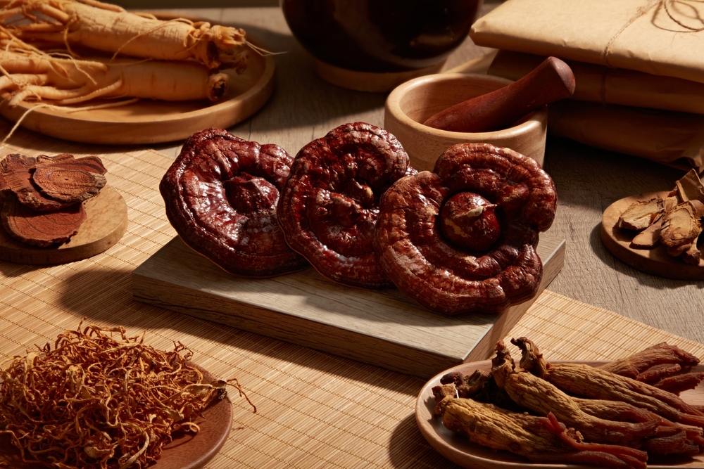 vitalni-houby-reishi-cordyceps