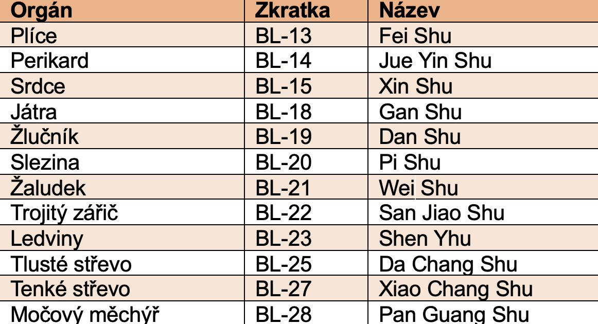 Snmek obrazovky 2025-05-13 v11.20.47