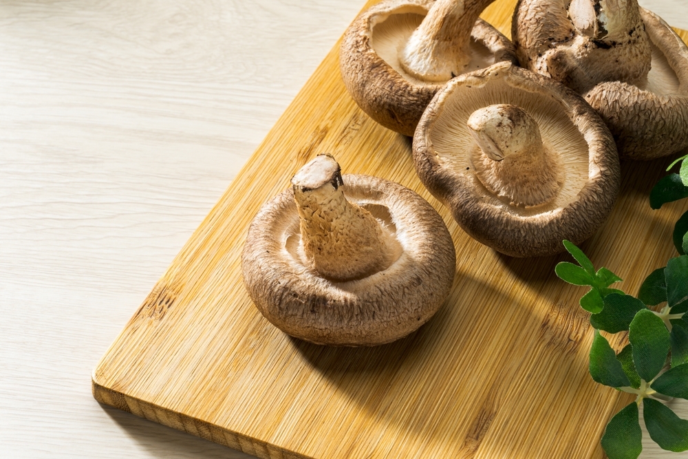 shiitake-houba