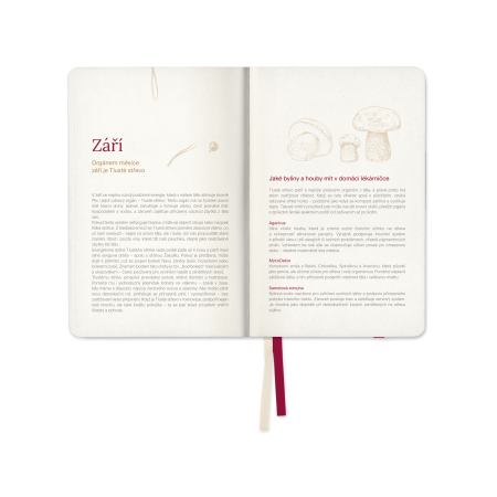 DIAR-25_vnitrni_2