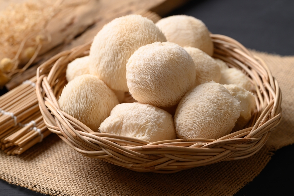 hericium