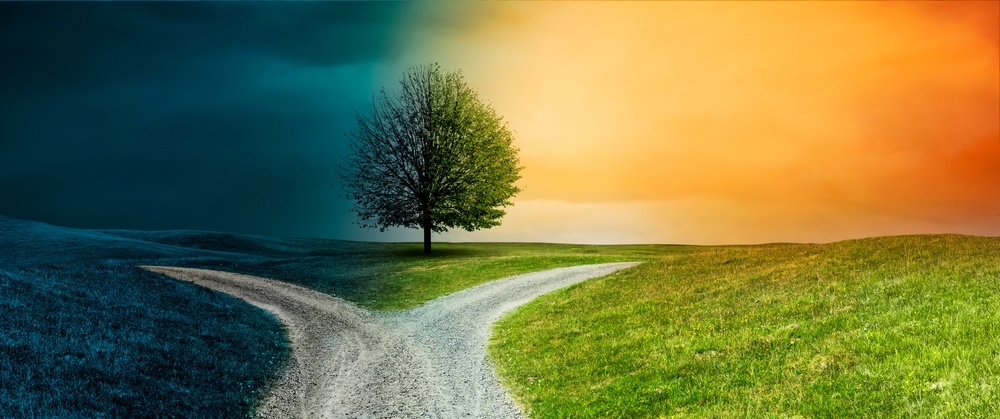 shutterstock_2691715849