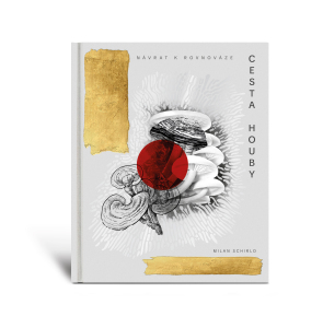 802846079-tcm_schirlo_kniha_obalka_front_viz-kopie