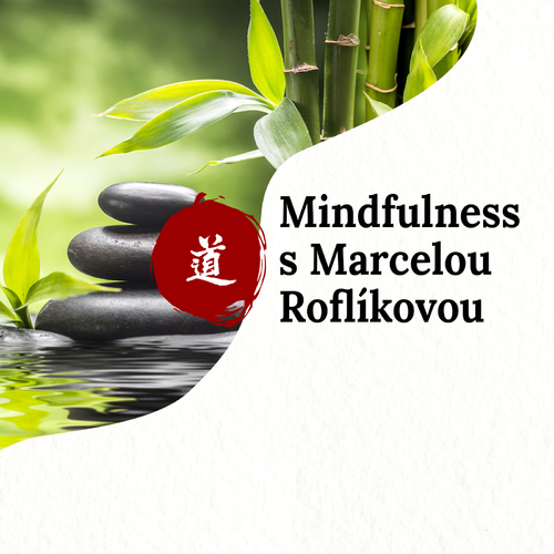 Mindfulness - Redukce stresu