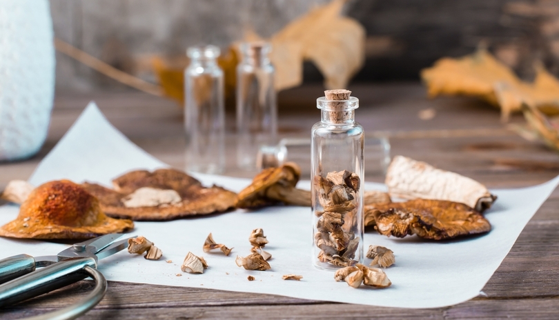 Houbami proti strnut pokoky