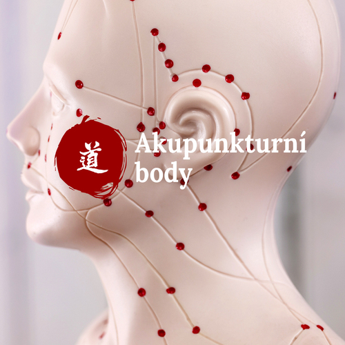 Mal atlas akupunktury - 1. dl (Krtk nhled do svta akupunktury)