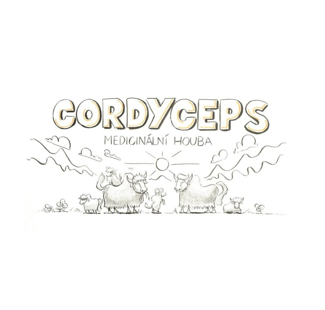 Vitln houby - Cordyceps