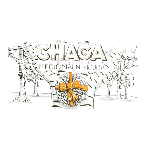 Vitln houby - Chaga