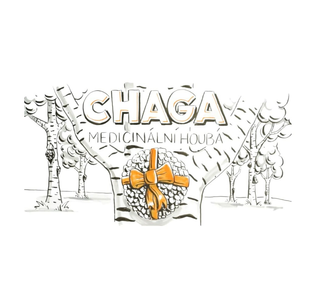 Vitln houby - Chaga