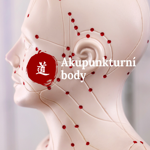 Malý atlas akupunktury – 5. díl (He Gu LI4)