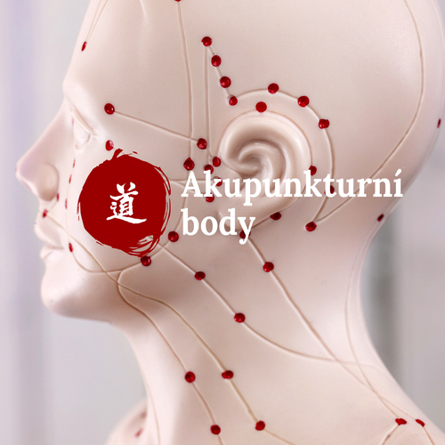 Mal atlas akupunktury  5. dl (He Gu LI4)