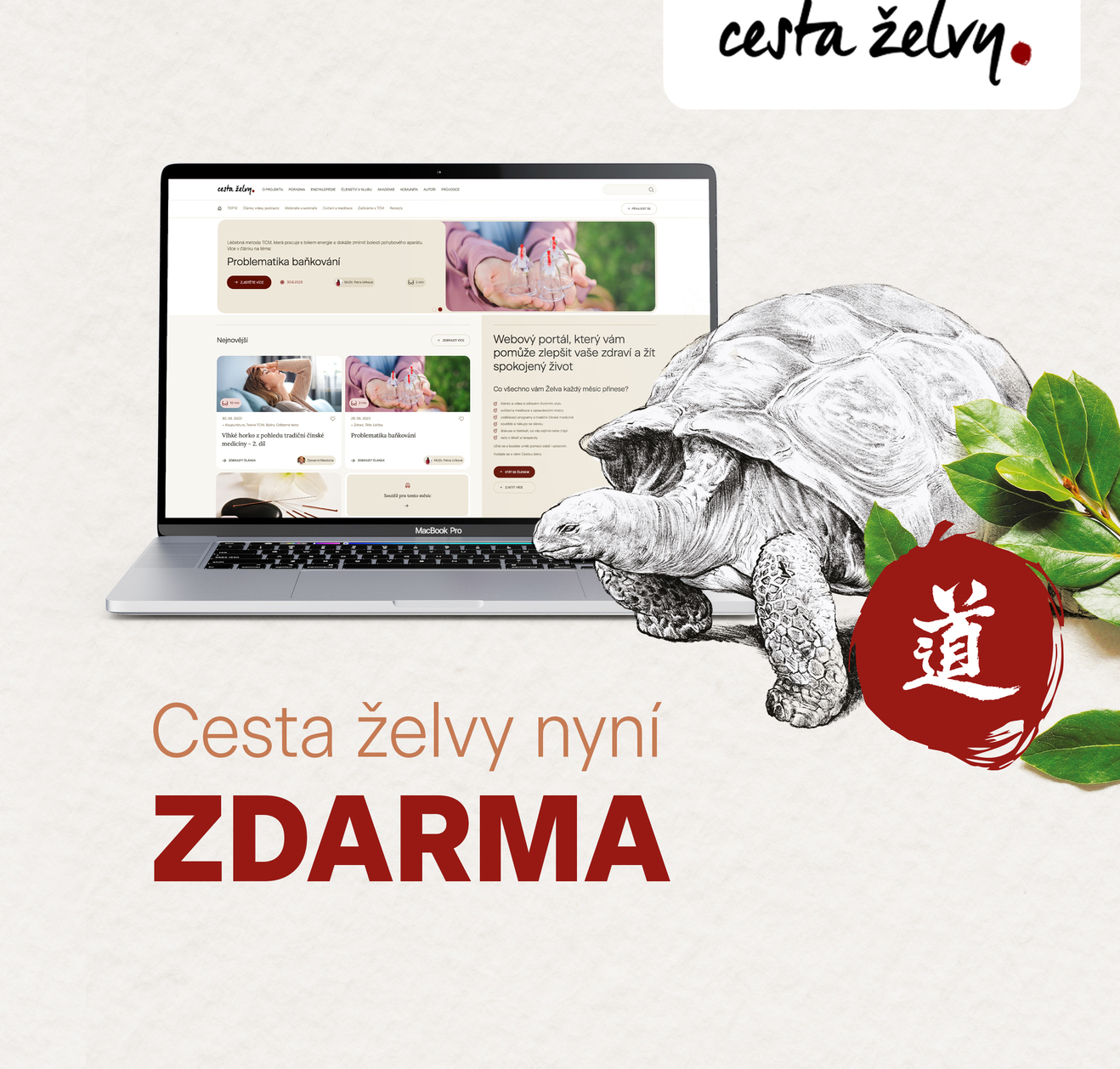 Cesta elvy nyn ZDARMA