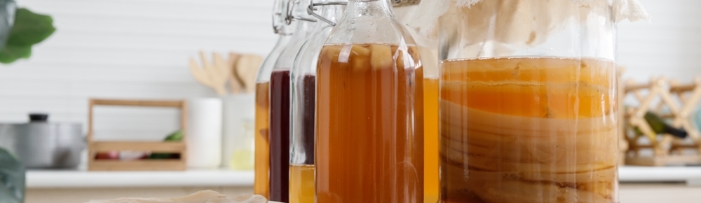 Zzran kombucha: houba v aji, nebo je to jinak?  1. dl