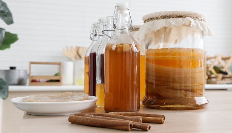 Zzran kombucha: houba v aji, nebo je to jinak?  1. dl