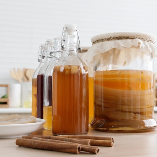 Zzran kombucha: houba v aji, nebo je to jinak?  1. dl