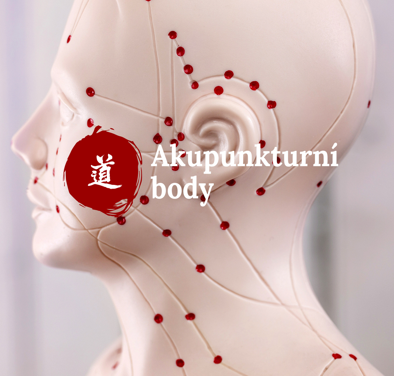 Mal atlas akupunktury  9. dl (Shou San Li LI-10)