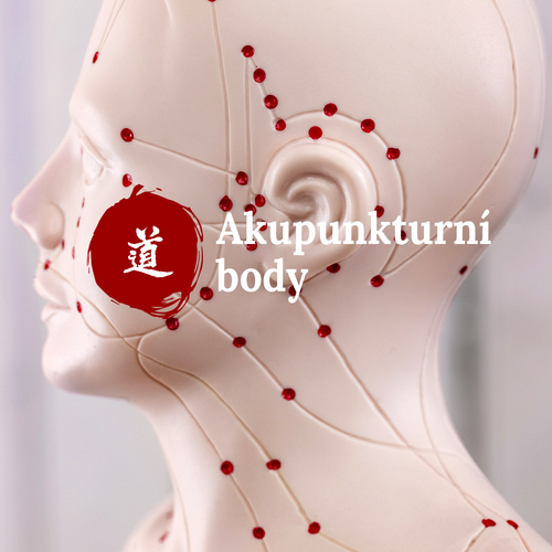 Malý atlas akupunktury – 10. díl (Shao Fu HT-8)