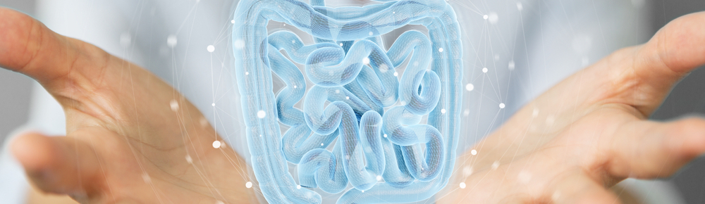 Houby a st�evn� mikrobiota