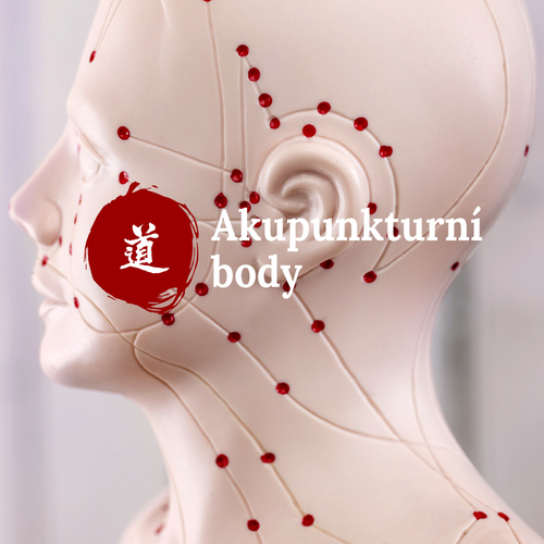 Malý atlas akupunktury – 15. díl – Tai Bai (SP-3): velká bílá