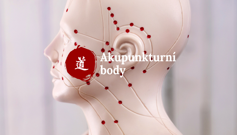 Mal atlas akupunktury  15. dl  Tai Bai (SP-3): velk bl