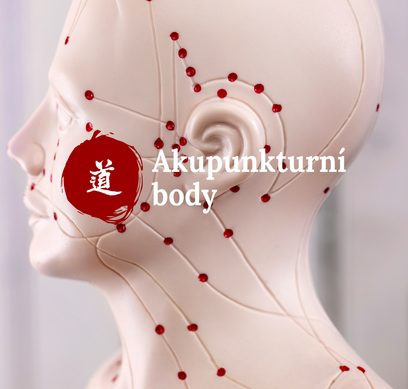 Mal atlas akupunktury  15. dl  Tai Bai (SP-3): velk bl