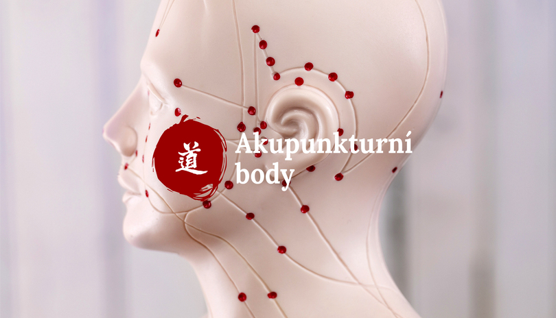 Mal atlas akupunktury - 16. dl - Wai Guan (TE5)