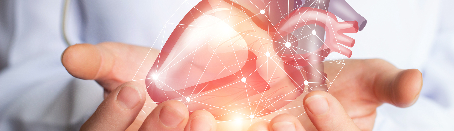 Srdce - nejohnivější orgán, který vládne všem ostatním v těle